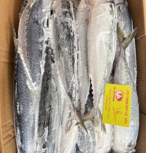 Cá Đông Lạnh Giá Sỉ Cho Suất Ăn Công Nghiệp - Vũ Yến Foods