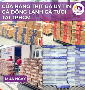 CỬA HÀNG THỊT GÀ UY TÍN - GÀ ĐÔNG LẠNH GÀ TƯƠI TẠI TPHCM
