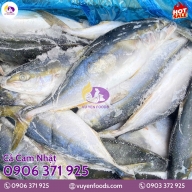 CÁ CAM NHẬT