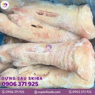 DỰNG SAU SKIBA
