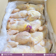 Gà dai Sing Green size 12 con