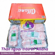 THĂN NGOẠI TRÂU 67 ALLANA
