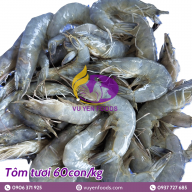 TÔM TƯƠI 60 CON