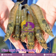 TÔM TƯƠI 80 CON