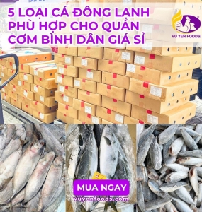 5 LOẠI CÁ ĐÔNG LẠNH PHÙ HỢP CHO QUÁN CƠM BÌNH DÂN GIÁ SỈ