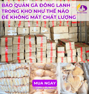BẢO QUẢN GÀ ĐÔNG LẠNH TRONG KHO NHƯ THẾ NÀO ĐỂ KHÔNG MẤT CHẤT LƯỢNG