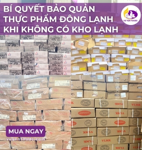 BÍ QUYẾT BẢO QUẢN THỰC PHẨM ĐÔNG LẠNH KHI KHÔNG CÓ KHO LẠNH