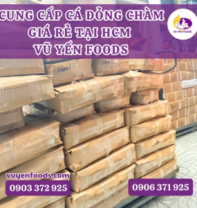 CUNG CẤP CÁ ĐỎNG CHÀM GIÁ RẺ TẠI HCM