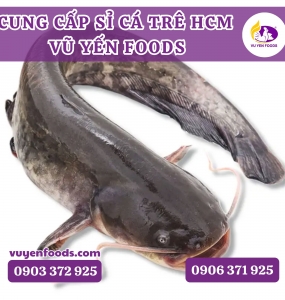 CUNG CẤP SỈ CÁ TRÊ HCM