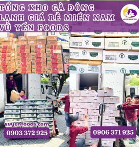 TỔNG KHO GÀ ĐÔNG LẠNH GIÁ RẺ MIỀN NAM