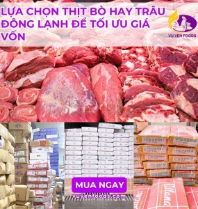 LỰA CHỌN THỊT BÒ HAY TRÂU ĐÔNG LẠNH ĐỂ TỐI ƯU GIÁ VỐN