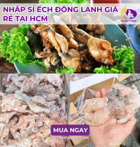NHẬP SỈ ẾCH ĐÔNG LẠNH GIÁ RẺ TẠI HCM