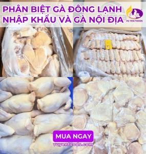PHÂN BIỆT GÀ ĐÔNG LẠNH NHẬP KHẨU VÀ GÀ NỘI ĐỊA