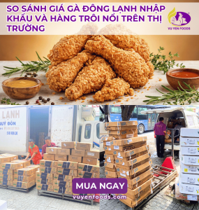 SO SÁNH GIÁ GÀ ĐÔNG LẠNH NHẬP KHẨU VÀ HÀNG TRÔI NỔI TRÊN THỊ TRƯỜNG