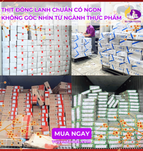 THỊT ĐÔNG LẠNH CHUẨN CÓ NGON KHÔNG GÓC NHÌN TỪ NGÀNH THỰC PHẨM