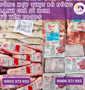 TỔNG HỢP THỊT BÒ ĐÔNG LẠNH GIÁ SỈ HCM - VŨ YẾN FOODS