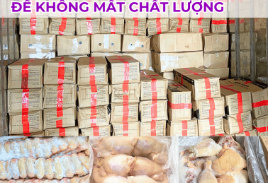 BẢO QUẢN GÀ ĐÔNG LẠNH TRONG KHO NHƯ THẾ NÀO ĐỂ KHÔNG MẤT CHẤT LƯỢNG