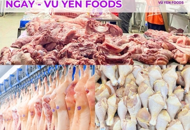 NGUỒN CUNG CẤP HEO TƯƠI, GÀ VỊT TƯƠI SỐNG TRONG NGÀY