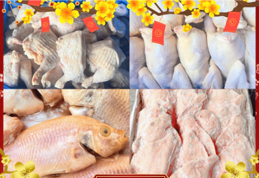 SAI LẦM THƯỜNG GẶP KHI NHẬP THỰC PHẨM ĐÔNG LẠNH MÙA CAO ĐIỂM