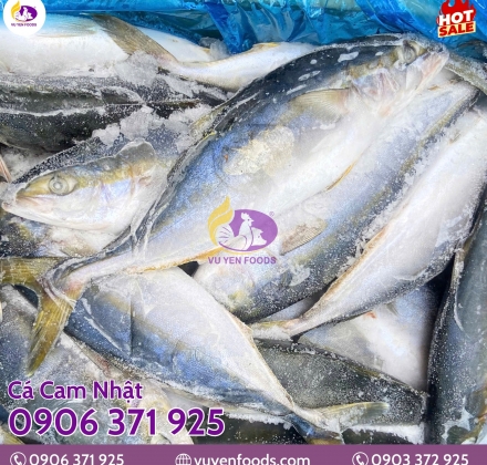 CÁ CAM NHẬT