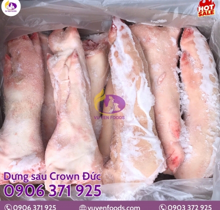DỰNG SAU CROWN ĐỨC