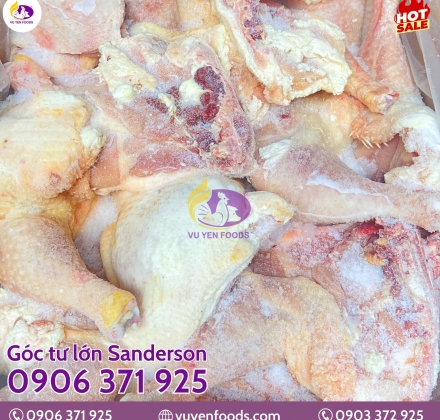 GÓC TƯ SANDERSON
