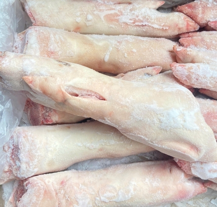 DỰNG SAU ĐÔNG LẠNH