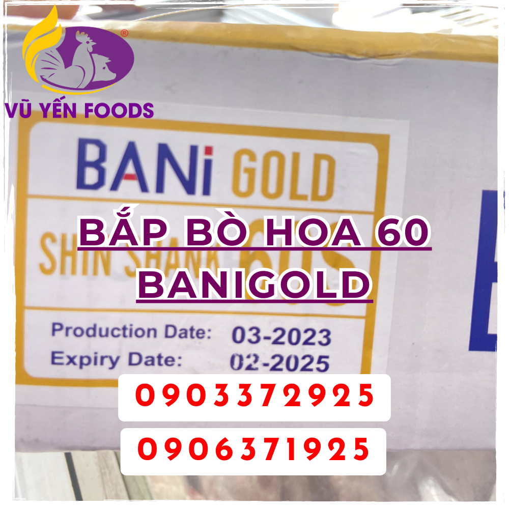 Bắp bò hoa 60 banigold