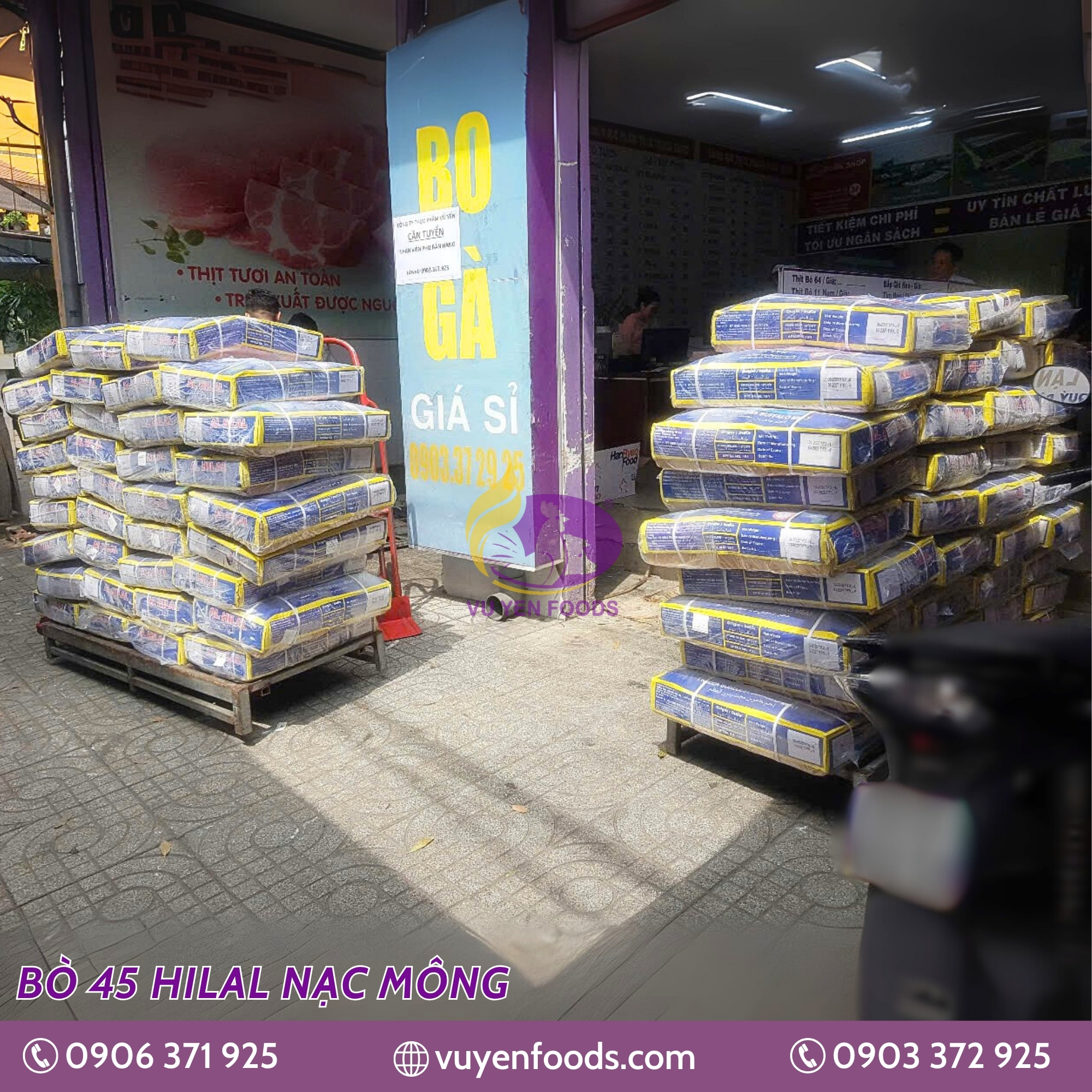 BÒ 45 HILAL NẠC MÔNG