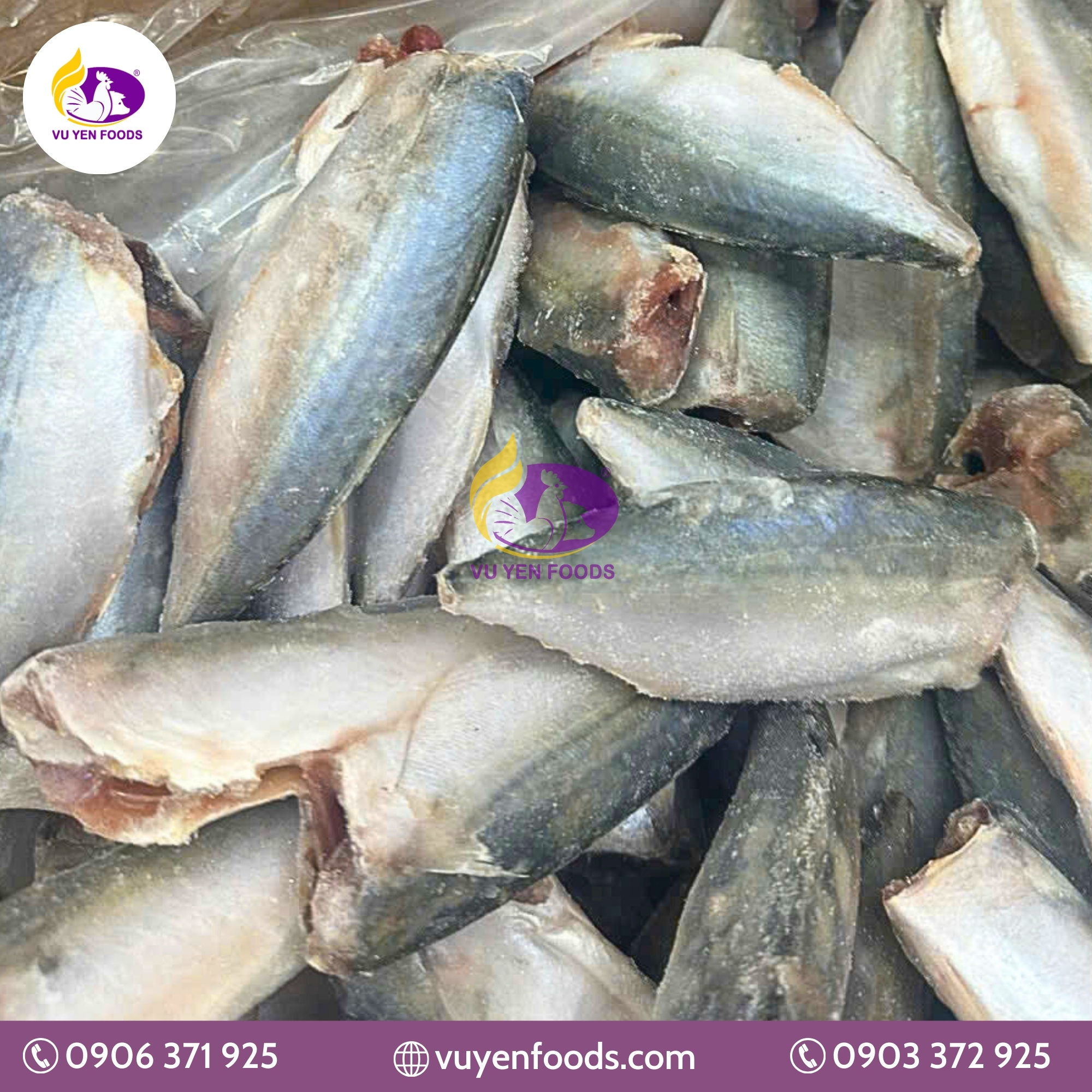 CÁ BẠC MÁ BỎ ĐẦU