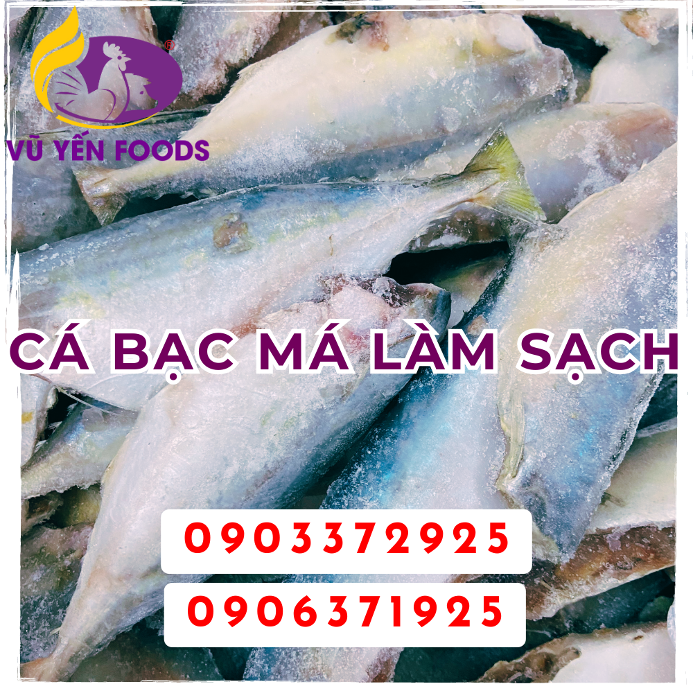 Cá bạc má làm sạch 