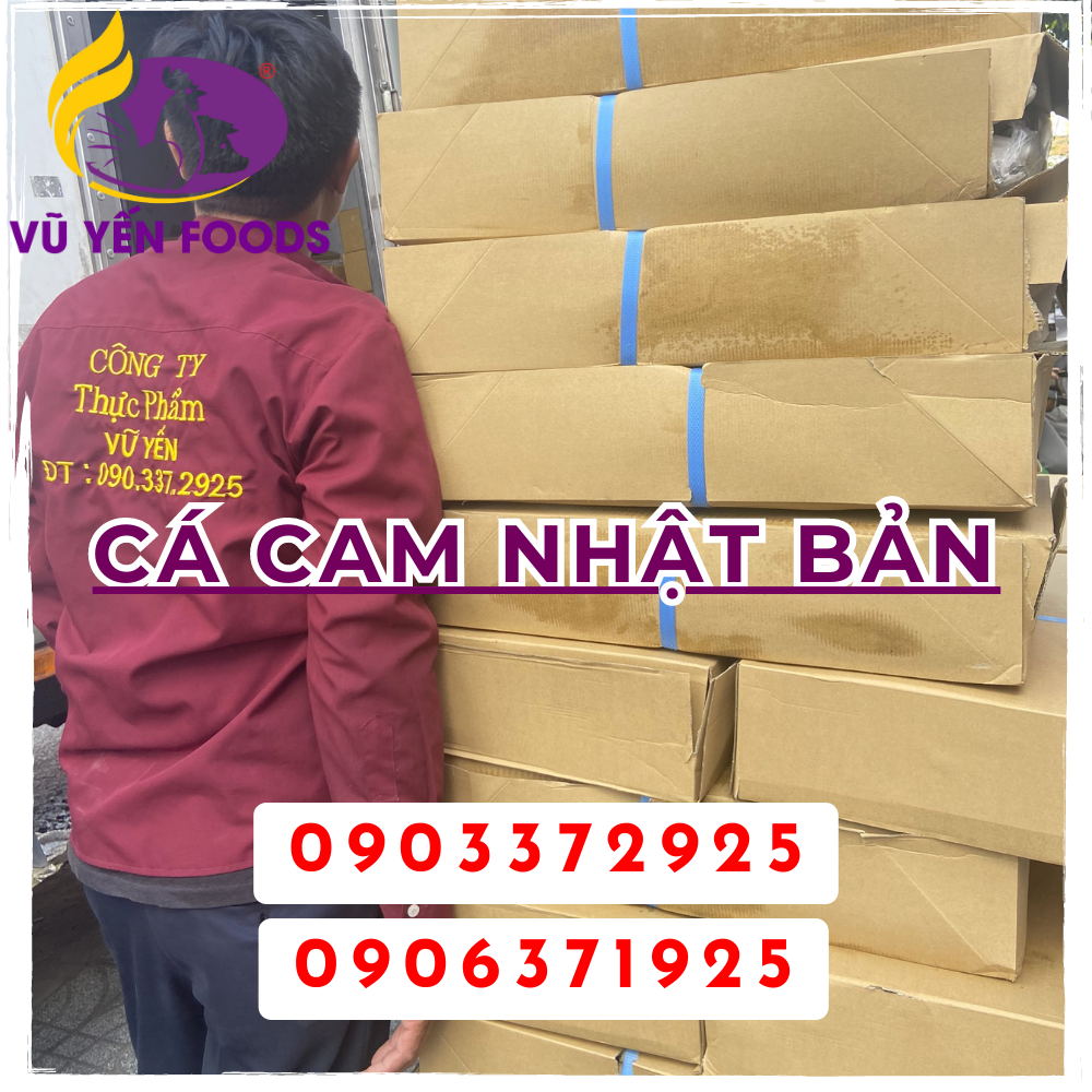CÁ CAM NHẬT BẢN