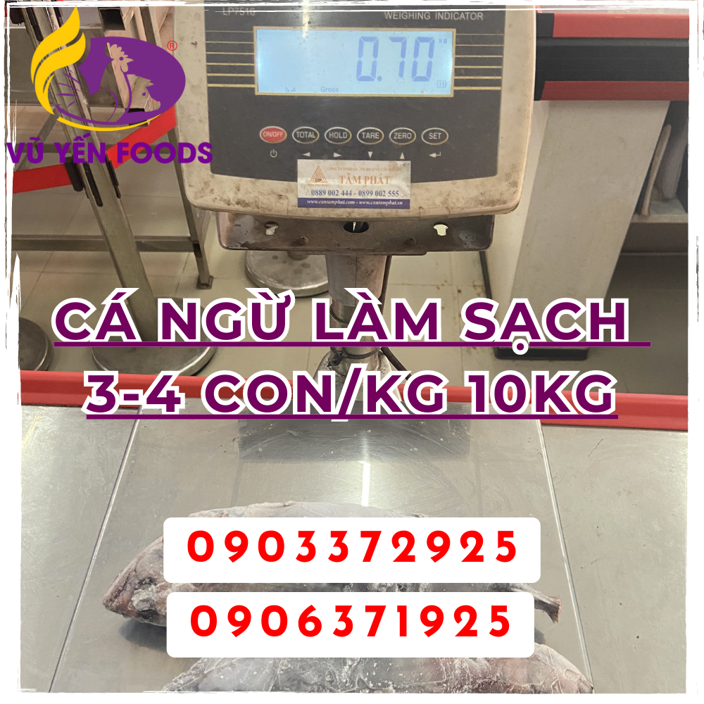 Cá ngừ làm sạch 3-4 con/kg 10kg