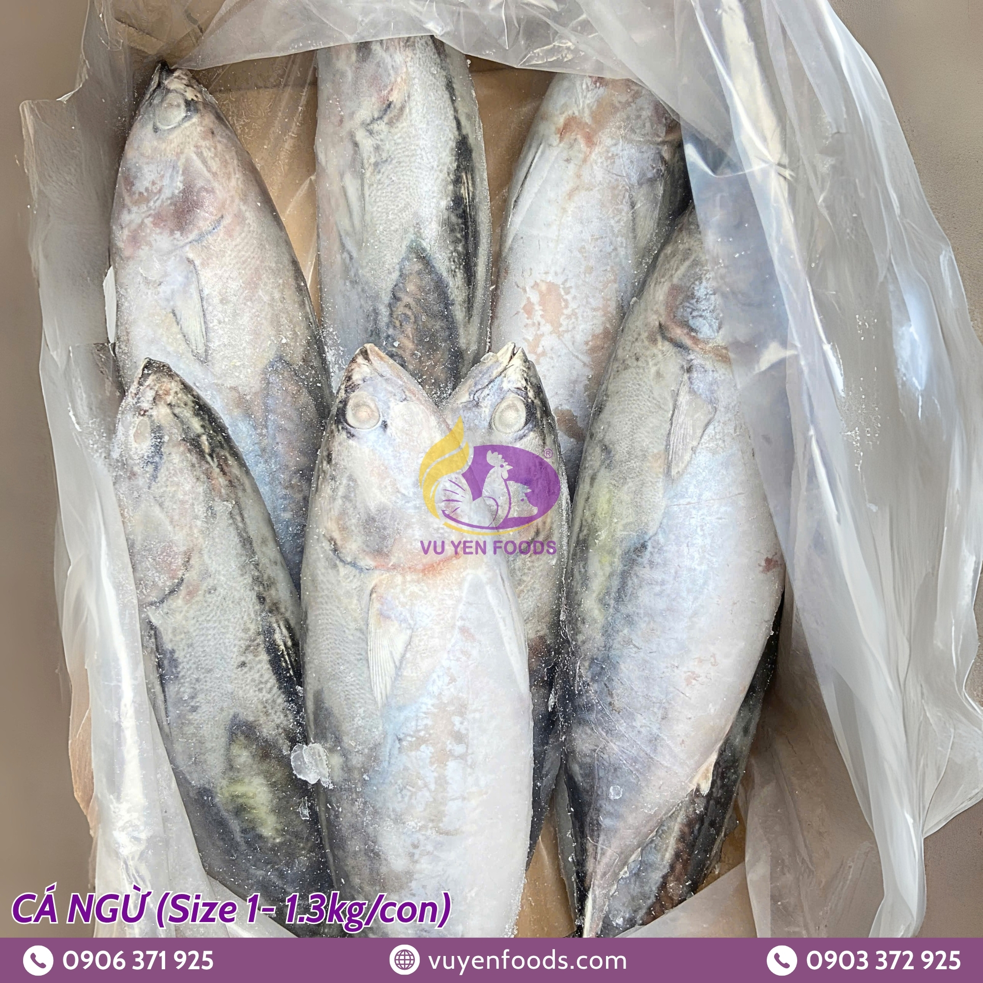 CÁ NGỪ 1KG 1KG3