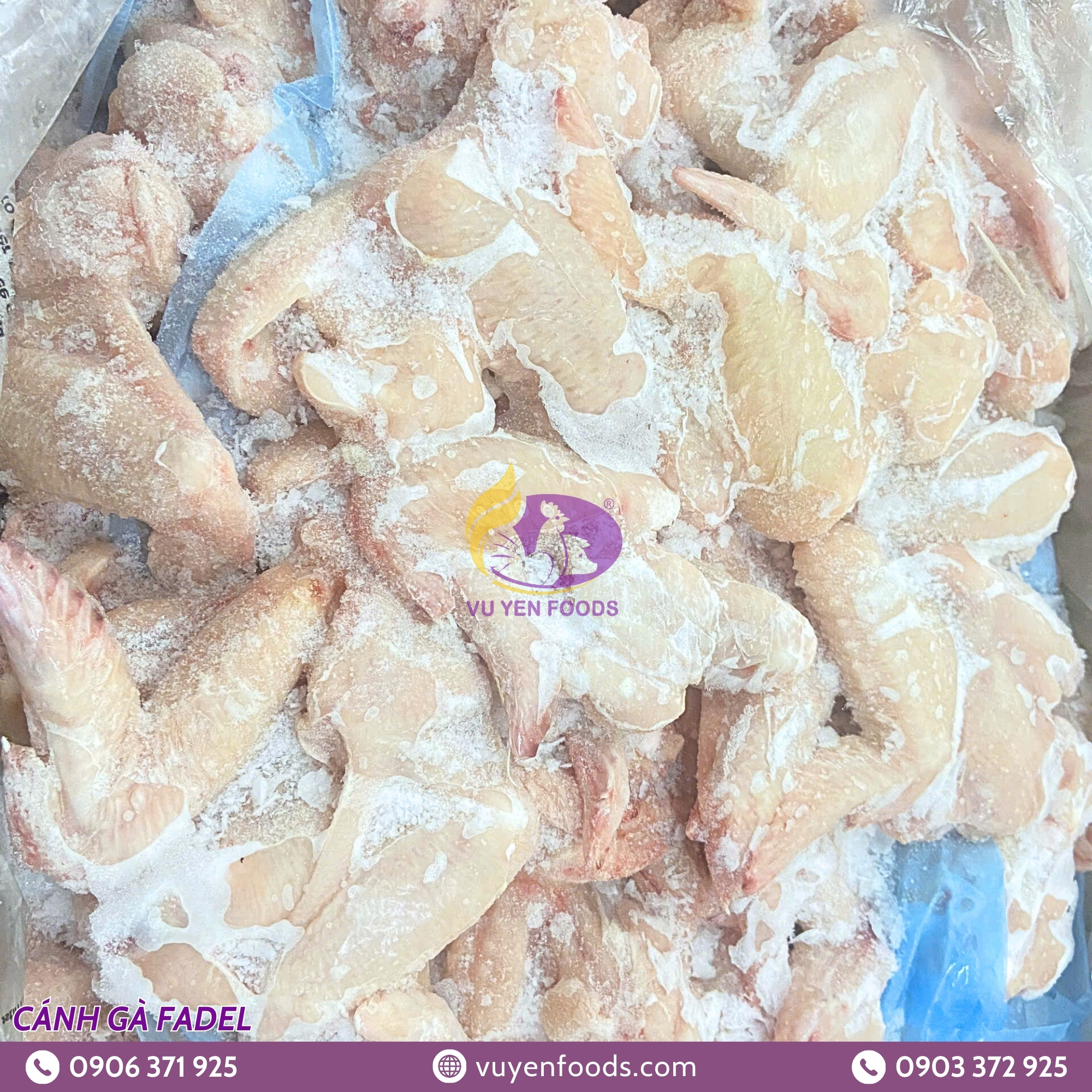 CÁNH GÀ FADEL