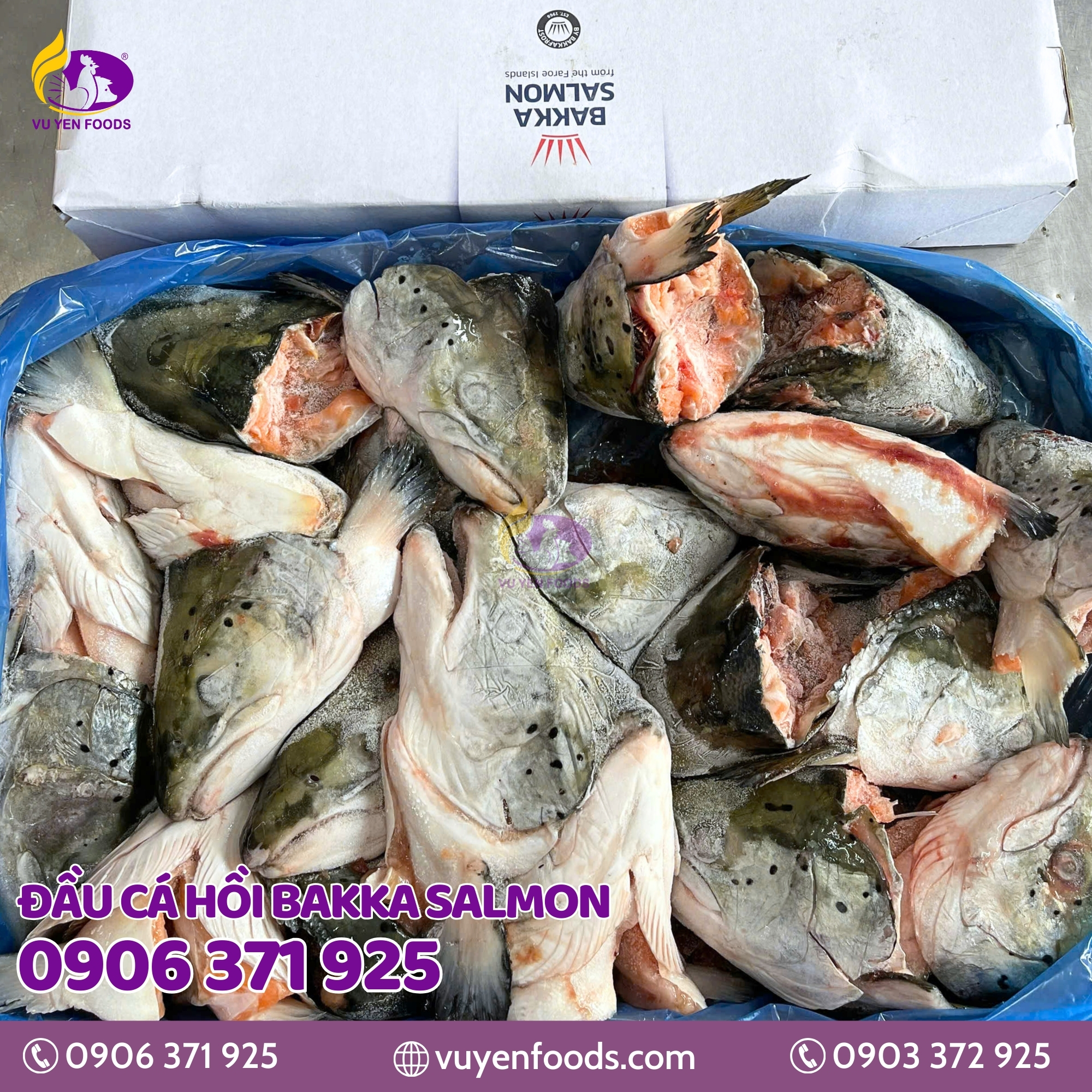 ĐẦU CÁ HỒI BAKKA SALMON