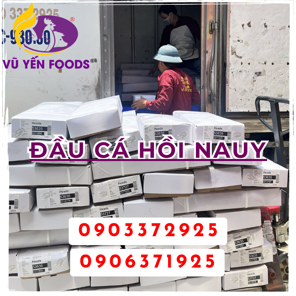 Đầu cá hồi Nauy