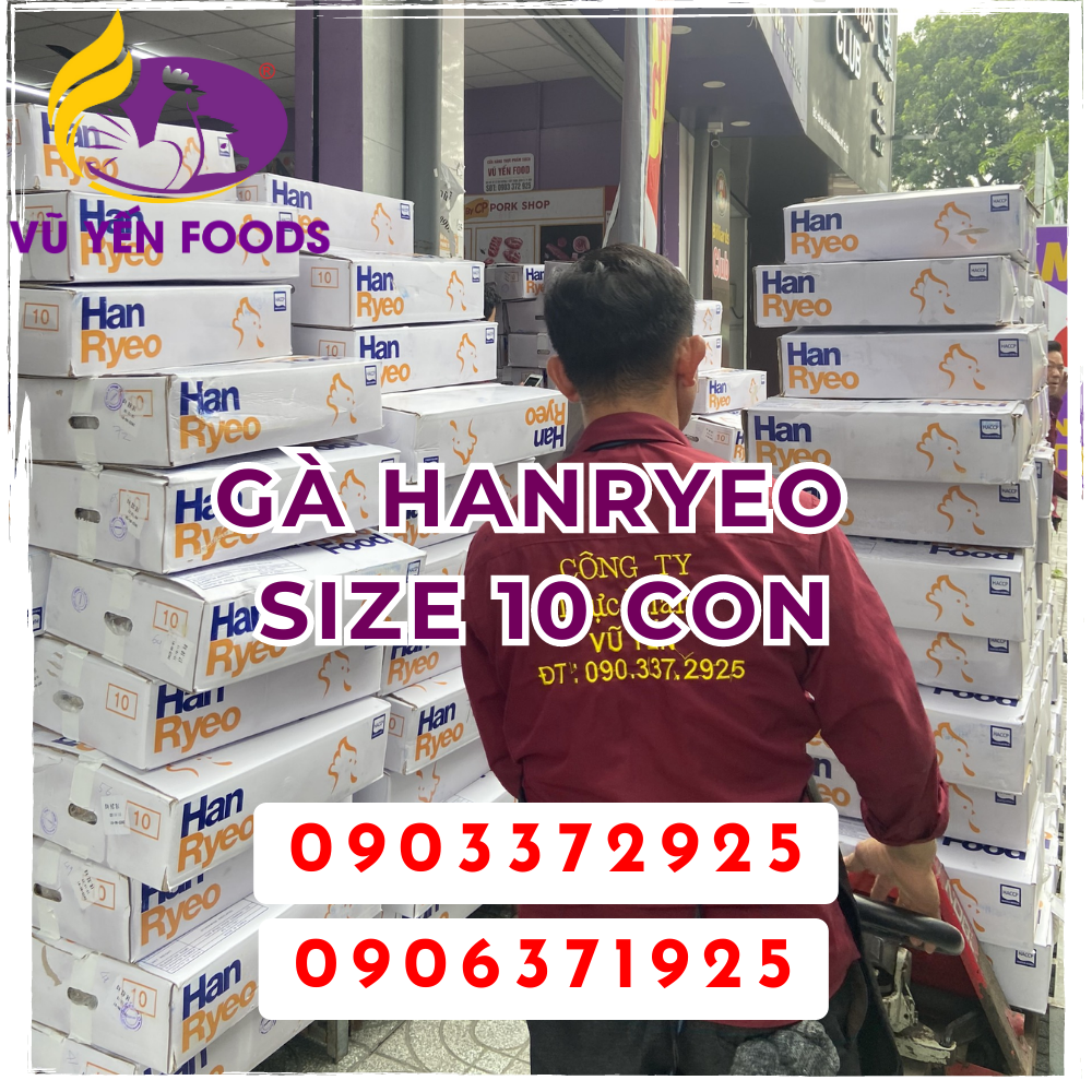 Gà hanryeo size 10 con