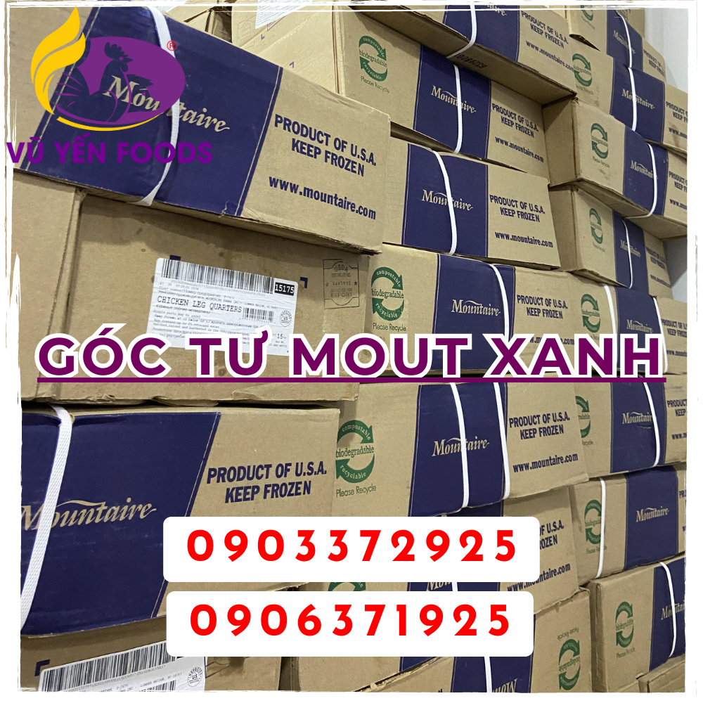 Góc tư Mout xanh