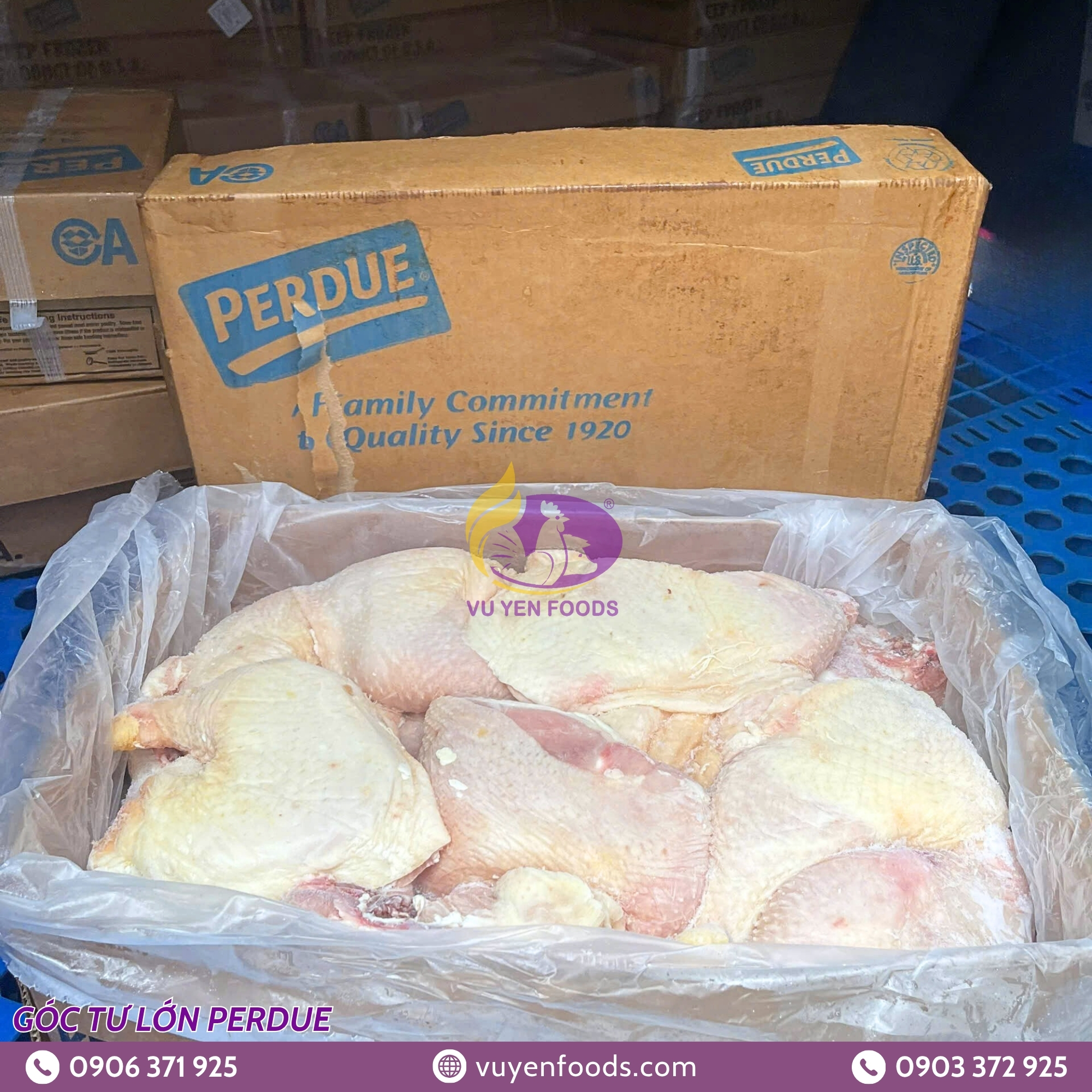 GÀ GÓC TƯ LỚN PERDUE 