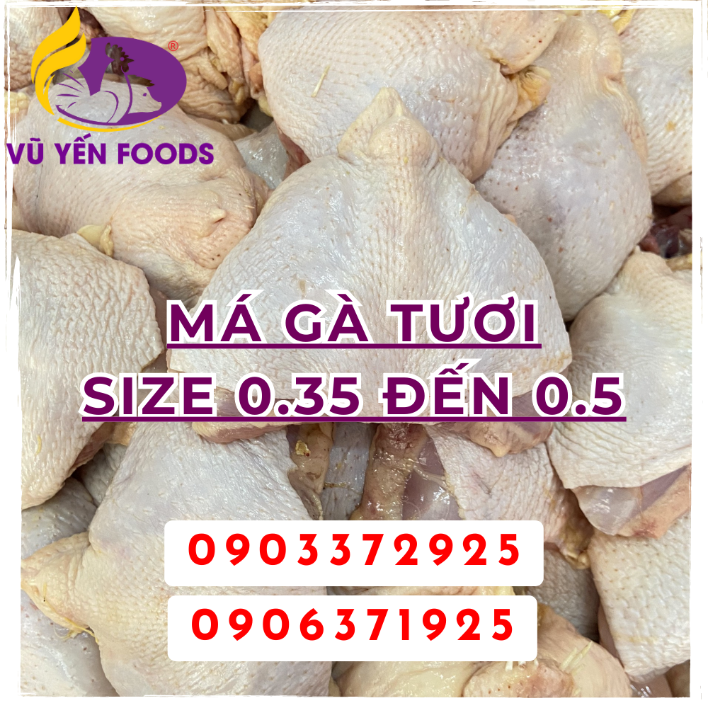 Má Gà tươi Size 0.35 đến 0.5