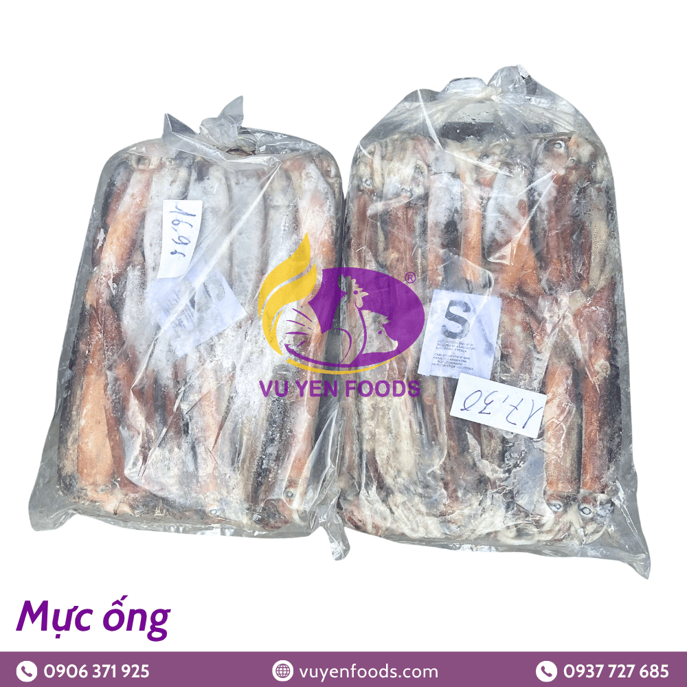 MỰC ỐNG ĐÀI LOAN