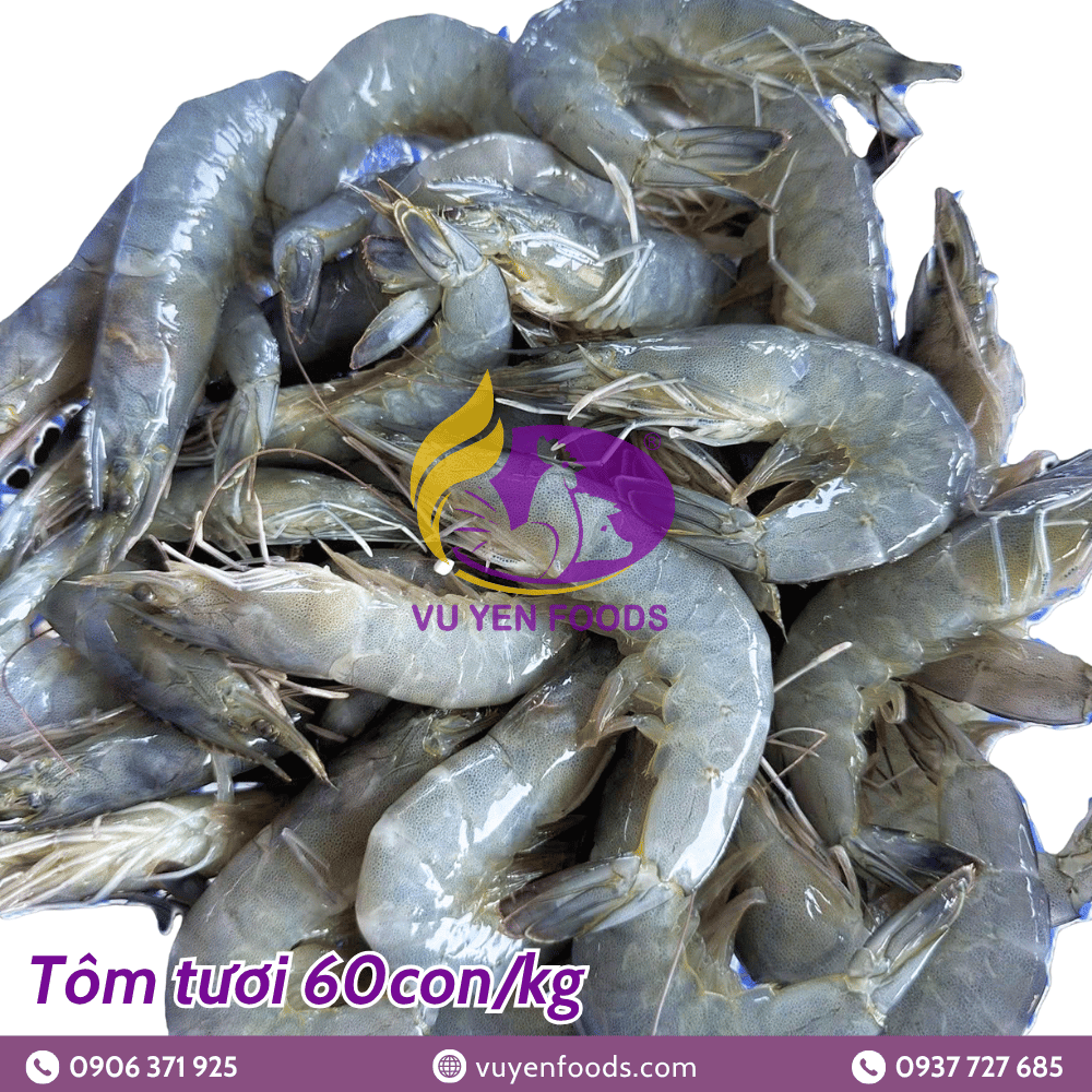 TÔM TƯƠI 60 CON