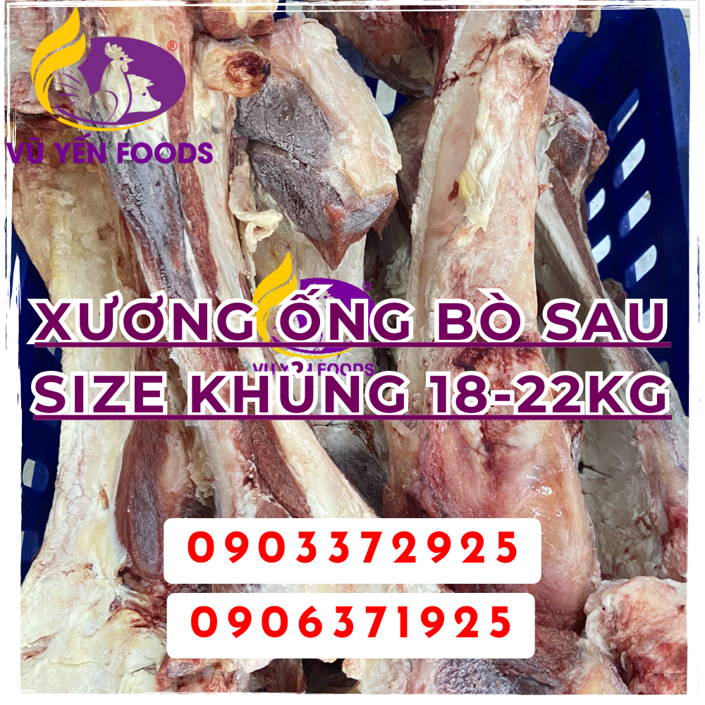 Xương ống Bò sau size khủng 18KG - 22KG