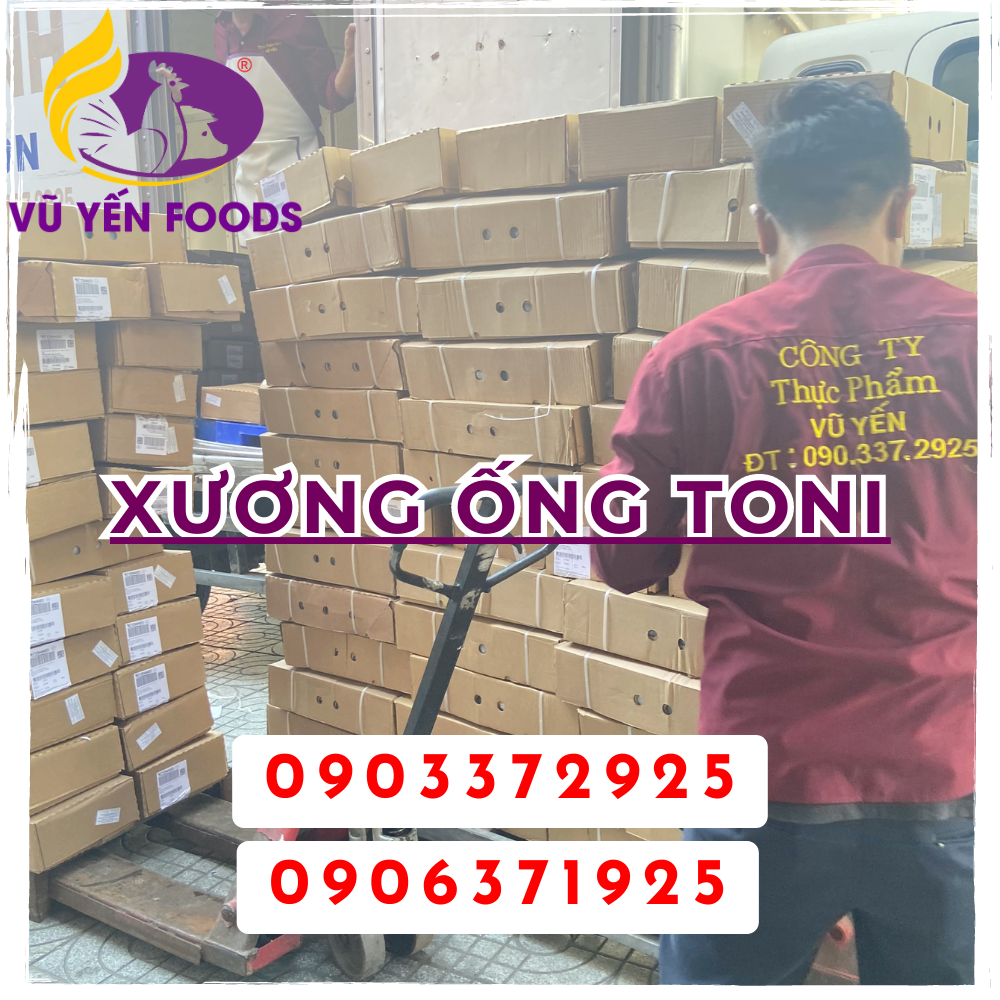 Xương ống Toni