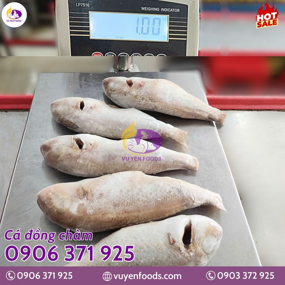 Vì sao thực phẩm đông lạnh là xu hướng của ngàng F B hiện đại