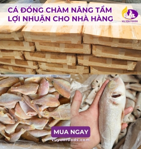CÁ ĐỔNG CHÀM NÂNG TẦM LỢI NHUẬN CHO NHÀ HÀNG