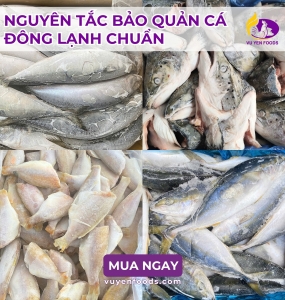 NGUYÊN TẮC BẢO QUẢN CÁ ĐÔNG LẠNH CHUẨN